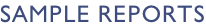 sample Reports